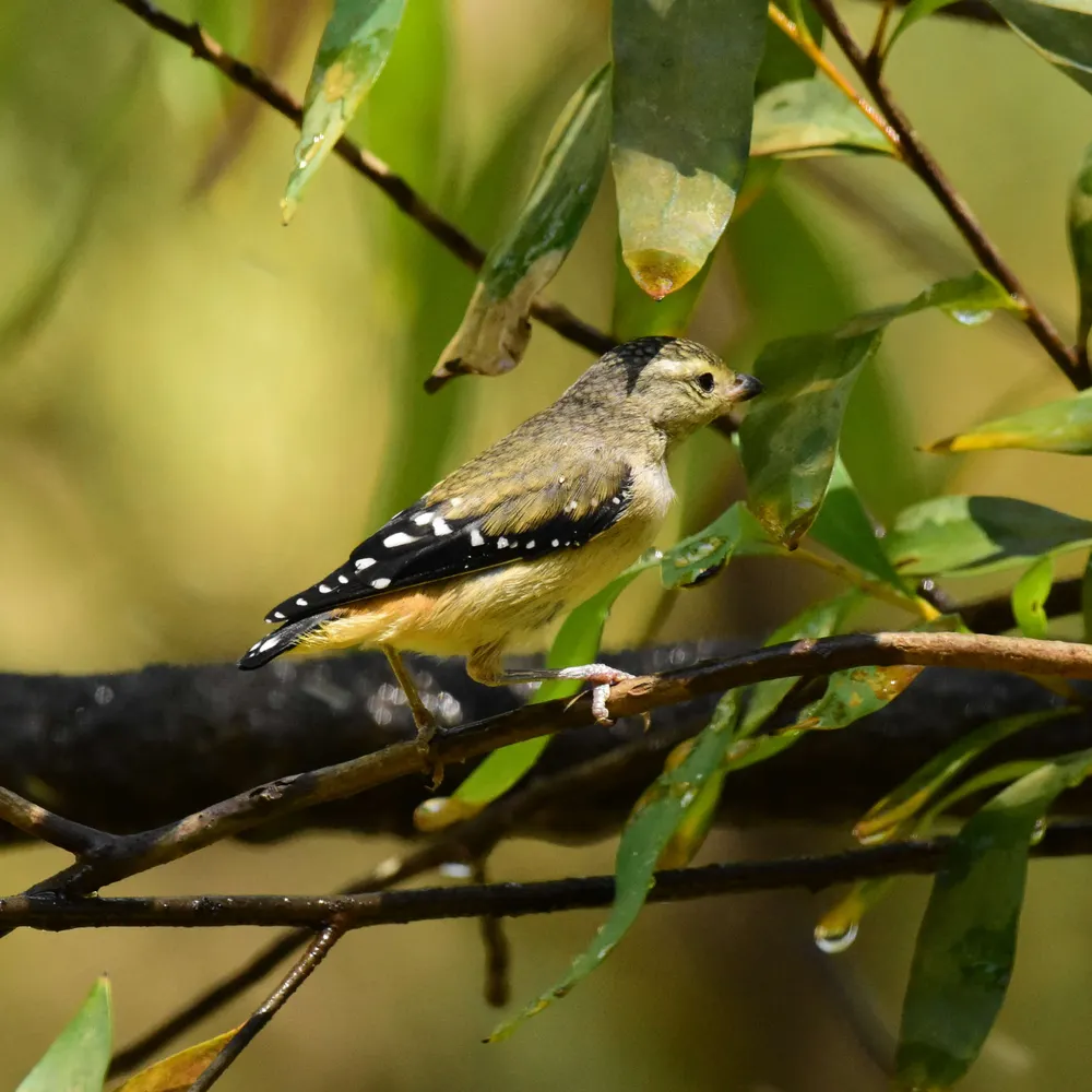 hagatha42.bsky.social's profile picture