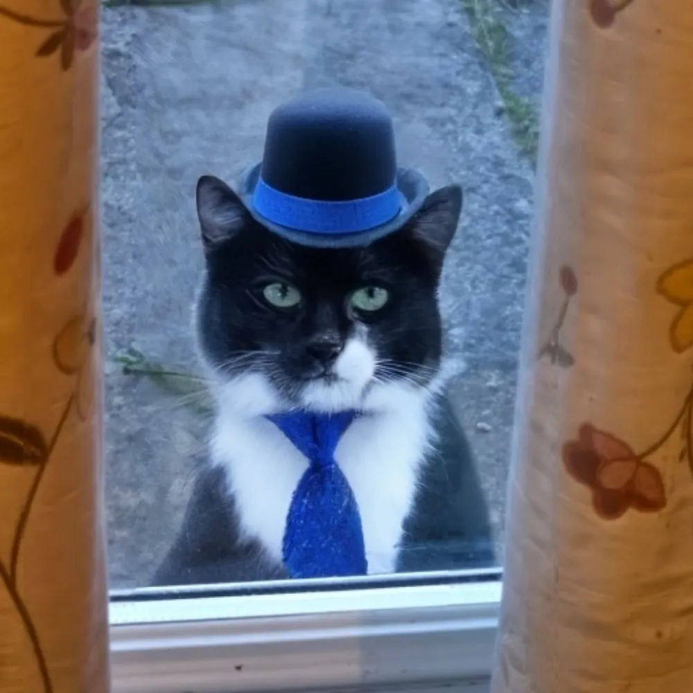 sensiblejumper.bsky.social's profile picture