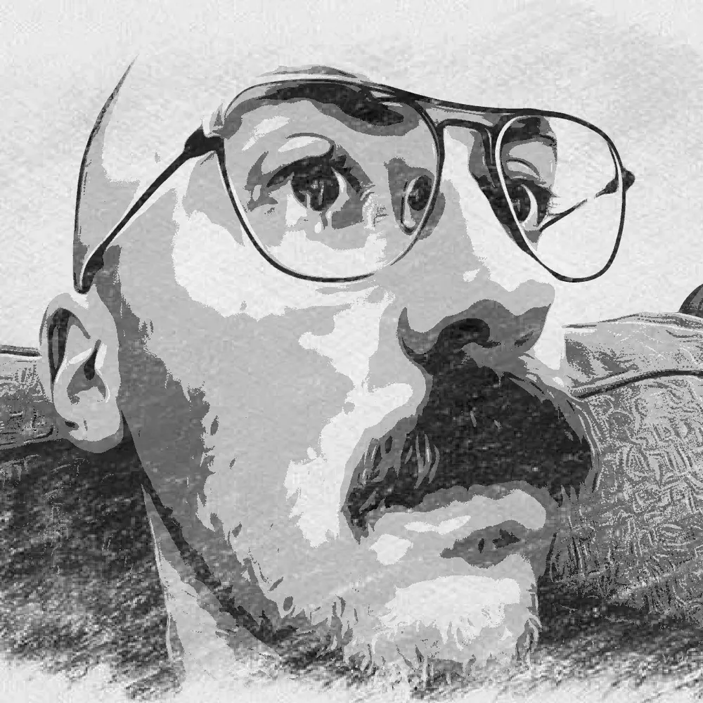 moar2ax.bsky.social's profile picture