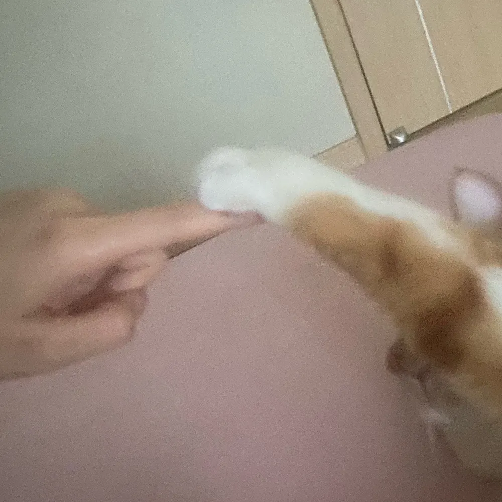 jhon233.bsky.social's profile picture