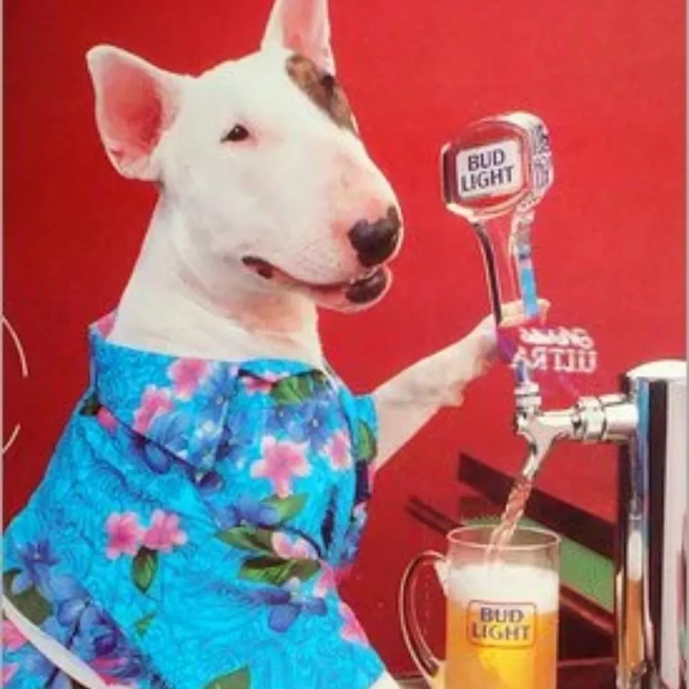 reallyswellgal.bsky.social's profile picture