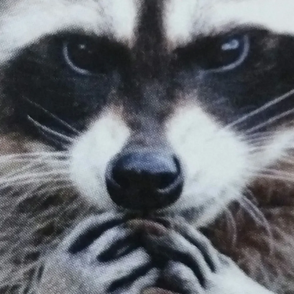 crow.center's profile picture