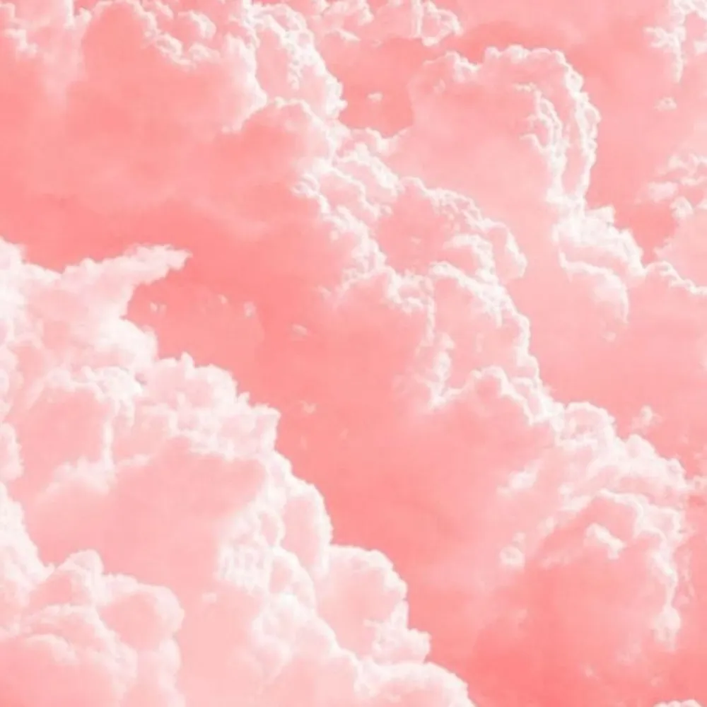 paneraiwearer.bsky.social's profile picture