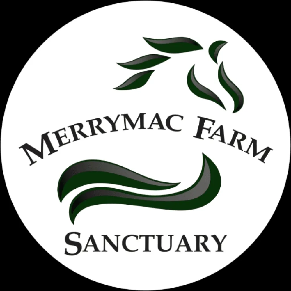 merrymacsanctuary.bsky.social's profile picture