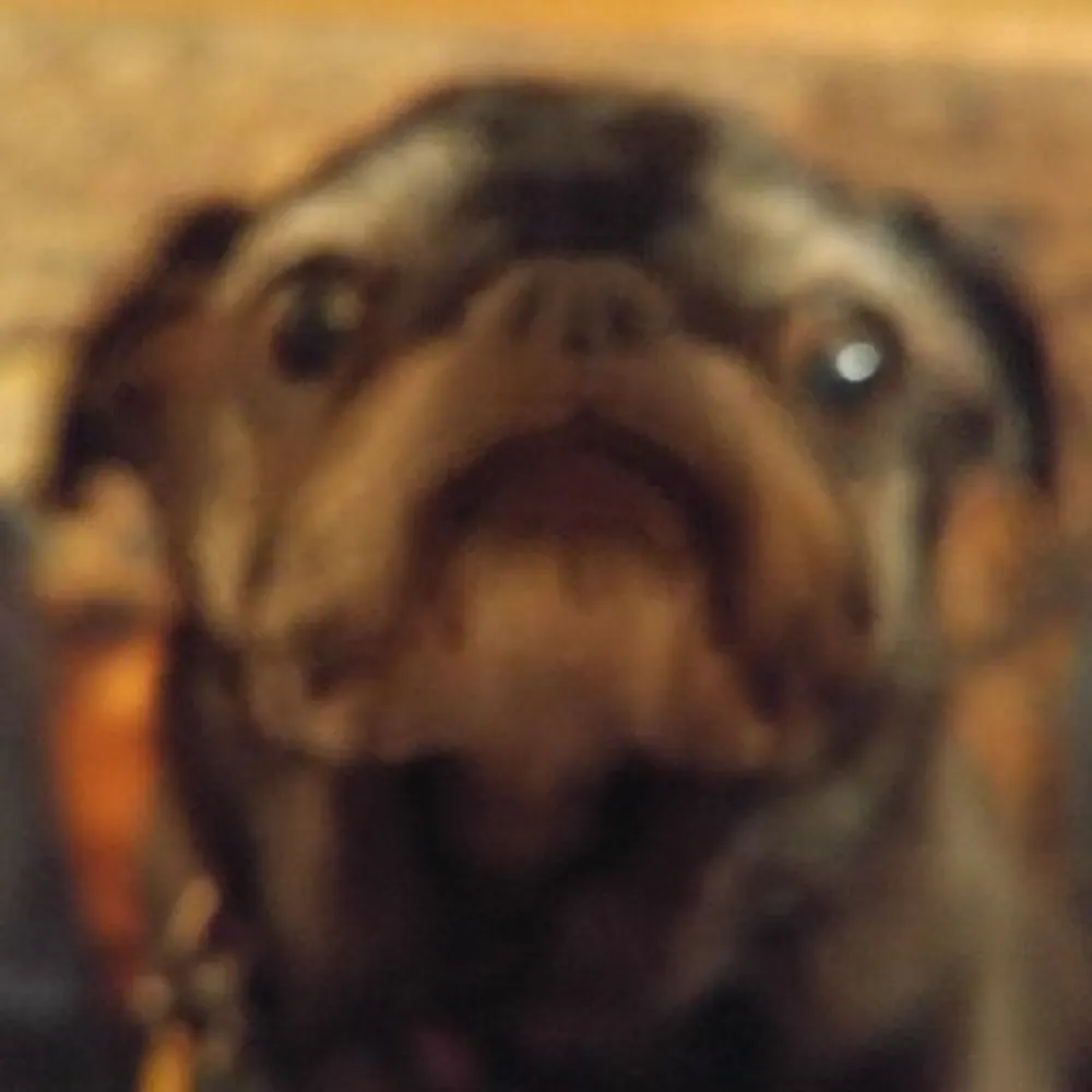 sansculottestoo.bsky.social's profile picture