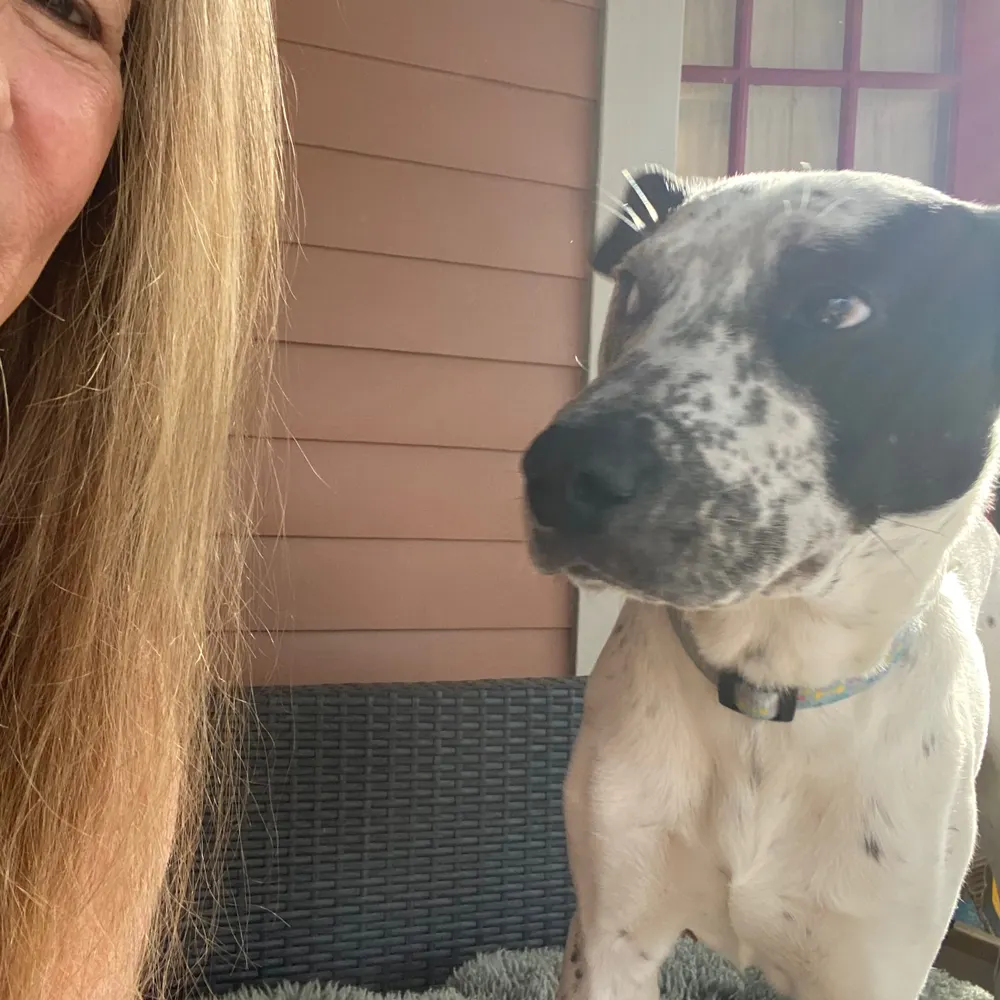 katwitdown.bsky.social's profile picture