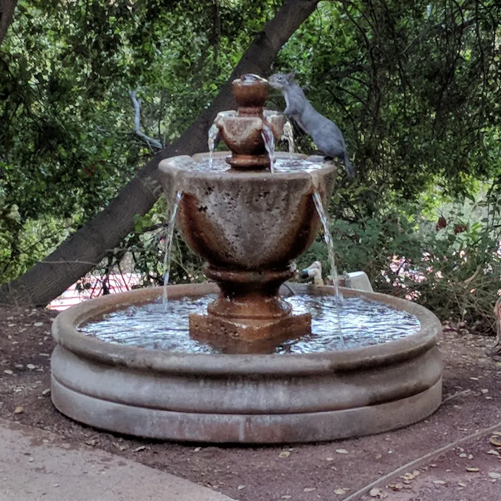 jonathancapone.bsky.social's profile picture