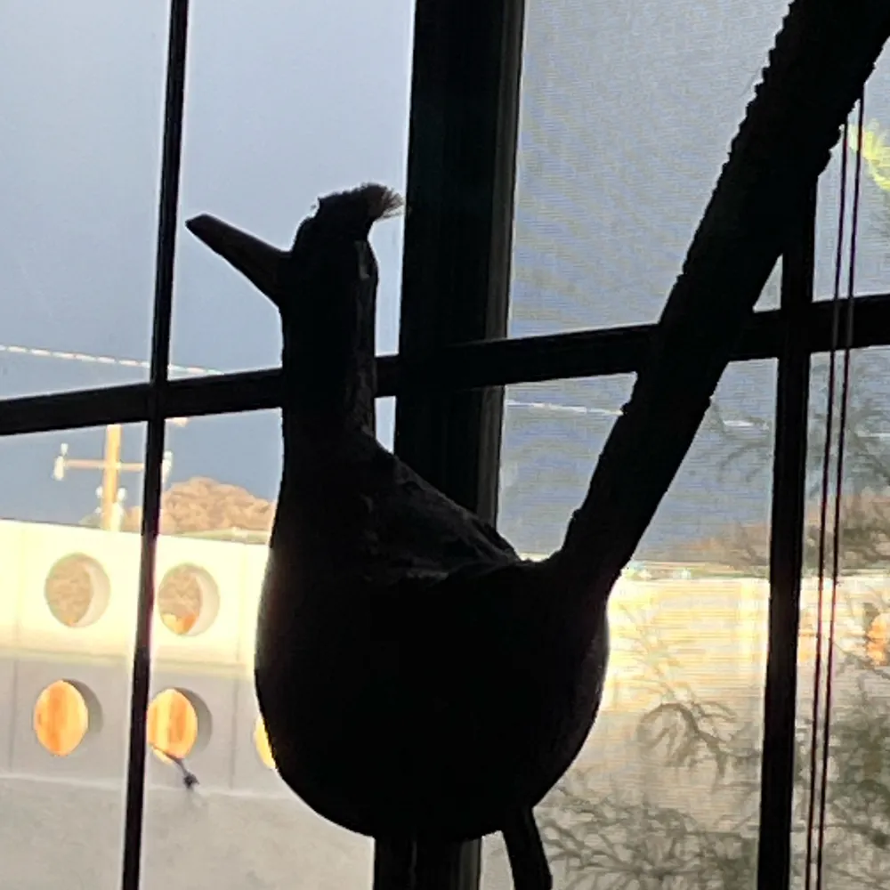 atlasphere.bsky.social's profile picture