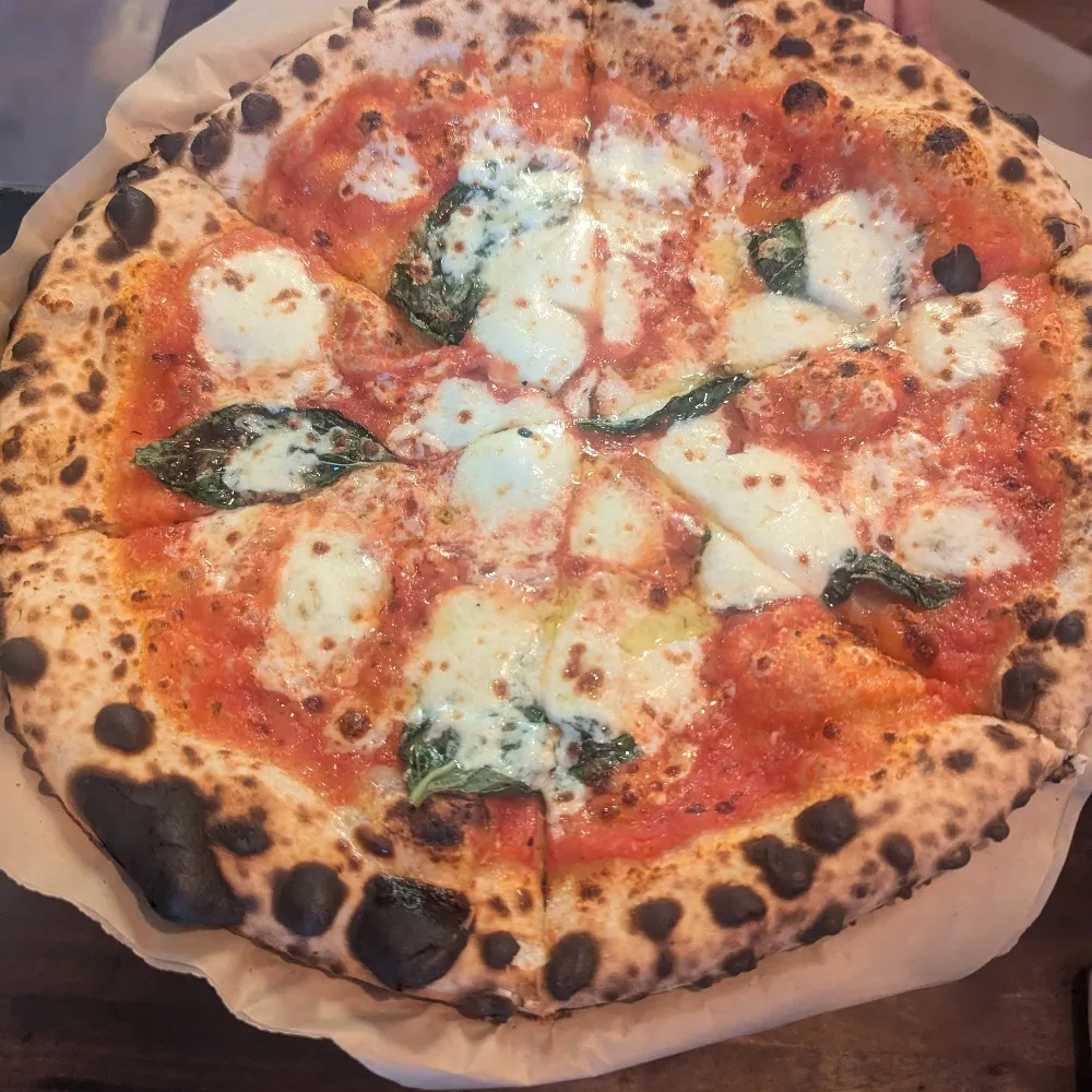 kokeefe.bsky.social's profile picture