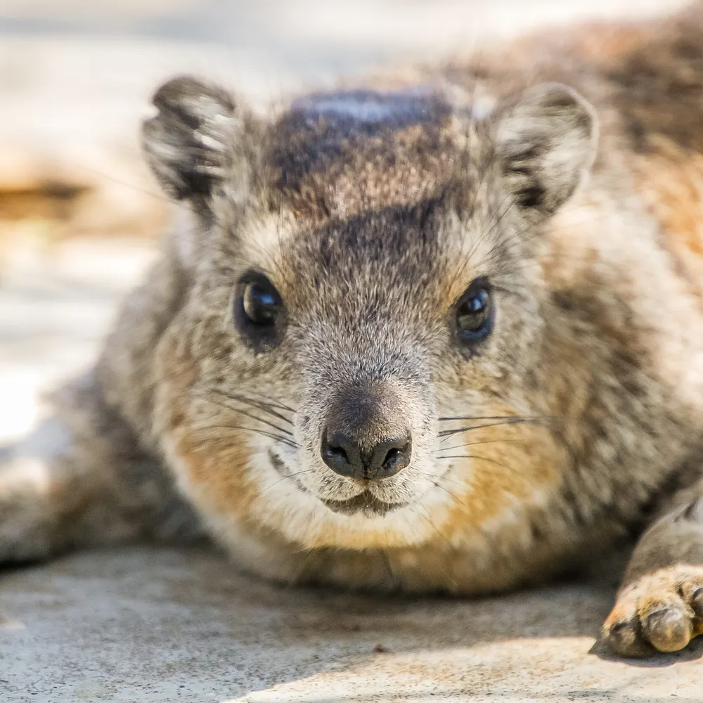 una20.bsky.social's profile picture