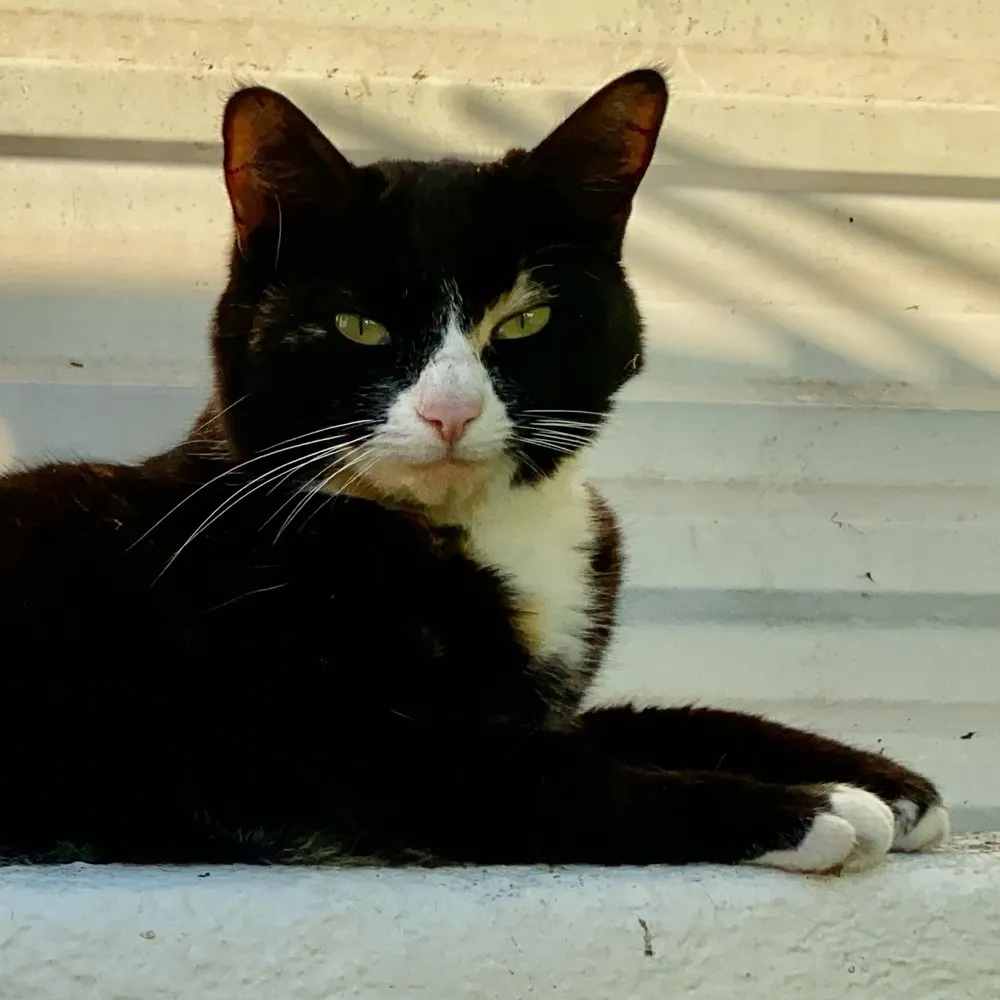 annaporia.bsky.social's profile picture