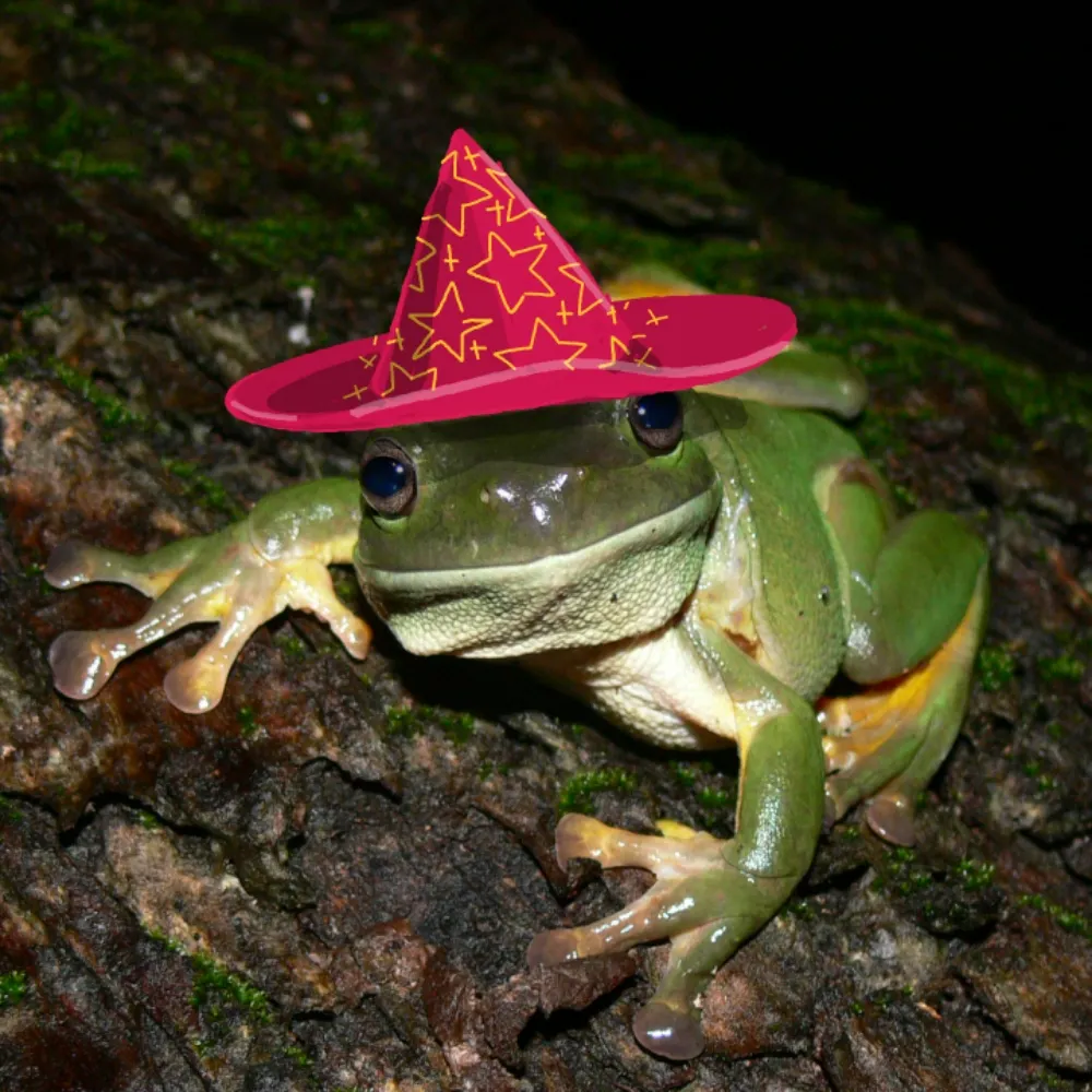 wizardwarsof1439.bsky.social's profile picture