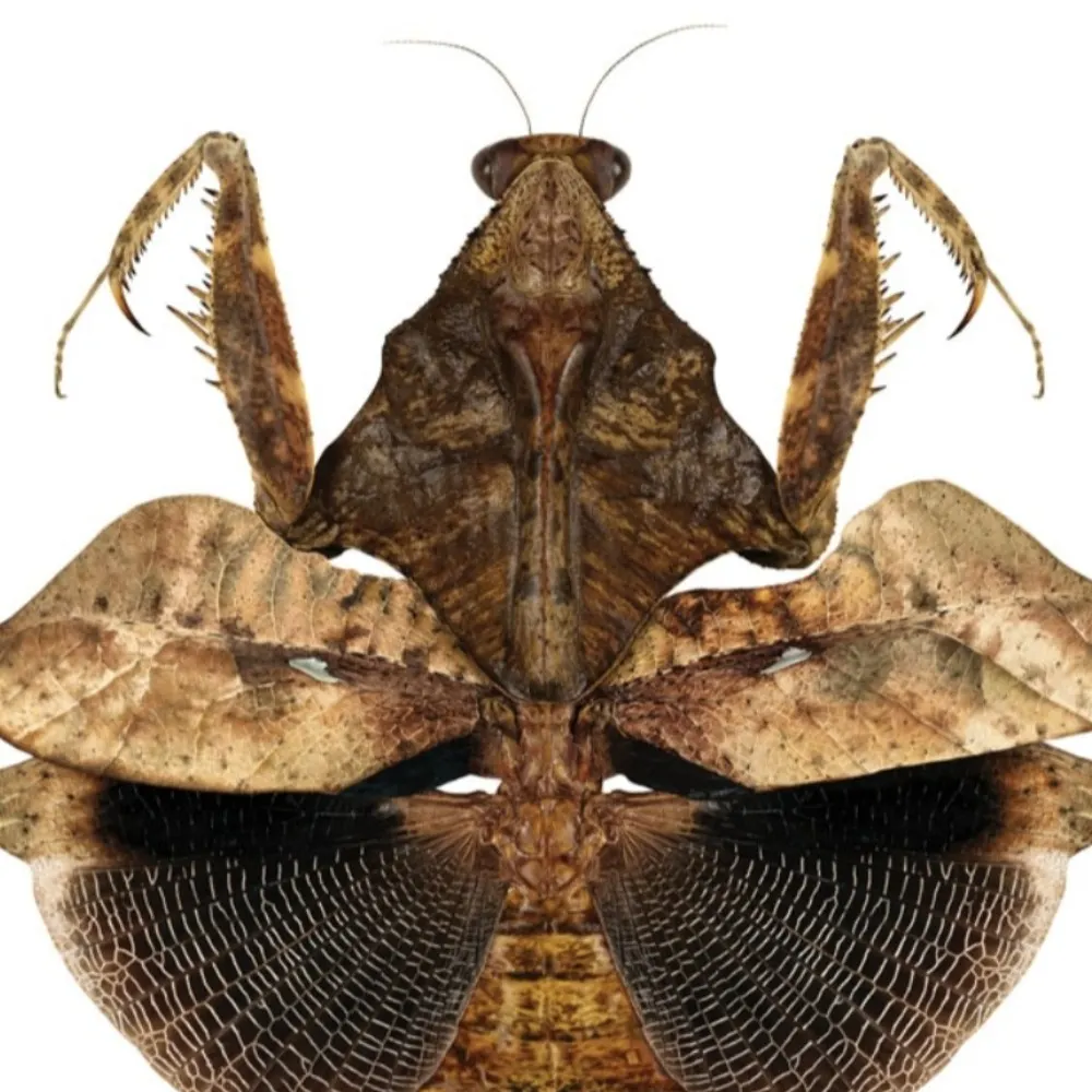 martynwarren.bsky.social's profile picture