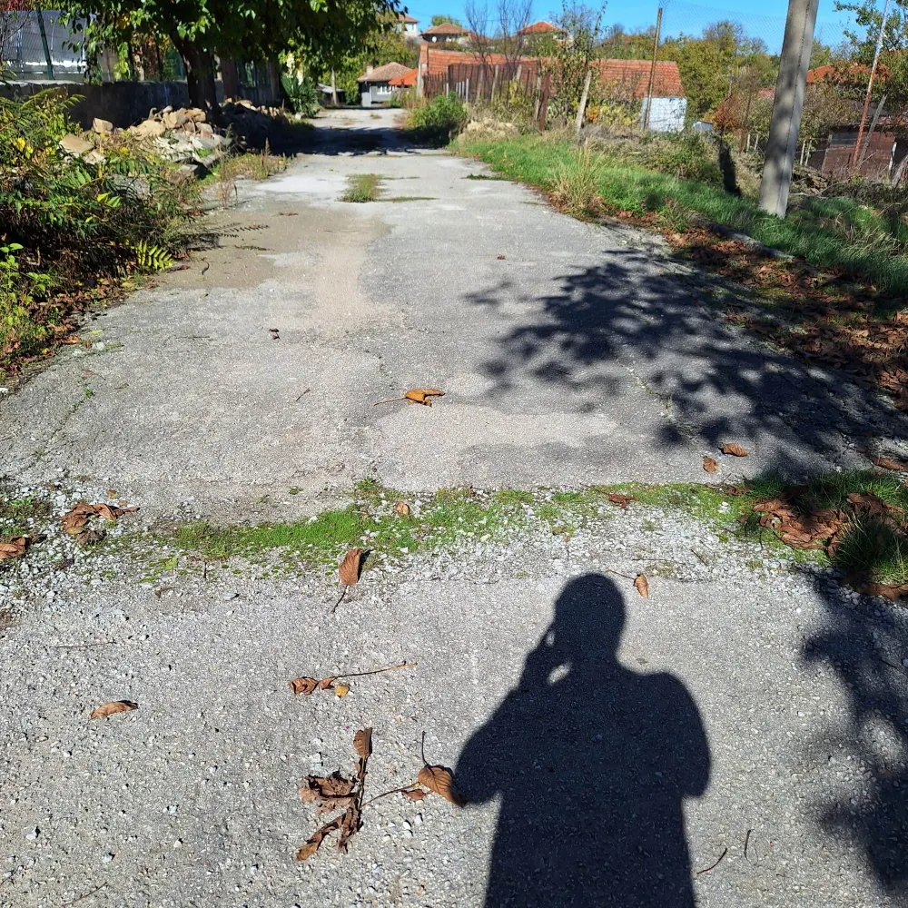 barryrichards123.bsky.social's profile picture