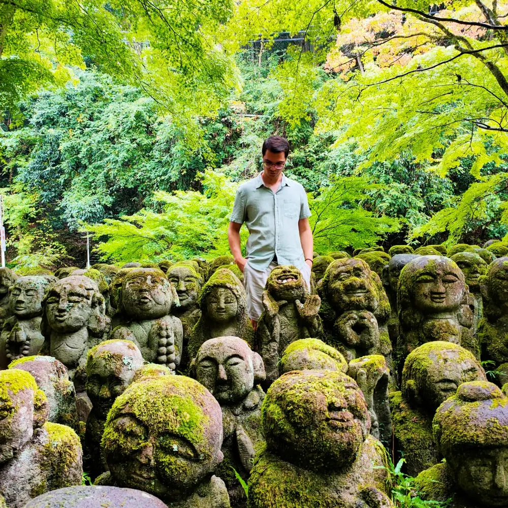 didacambaccent.bsky.social's profile picture