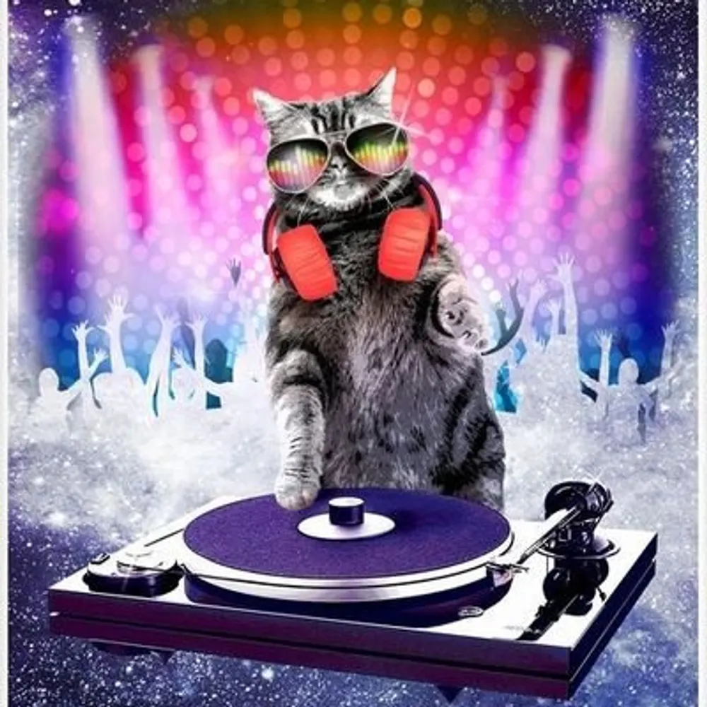 djchocolatemlk.bsky.social's profile picture