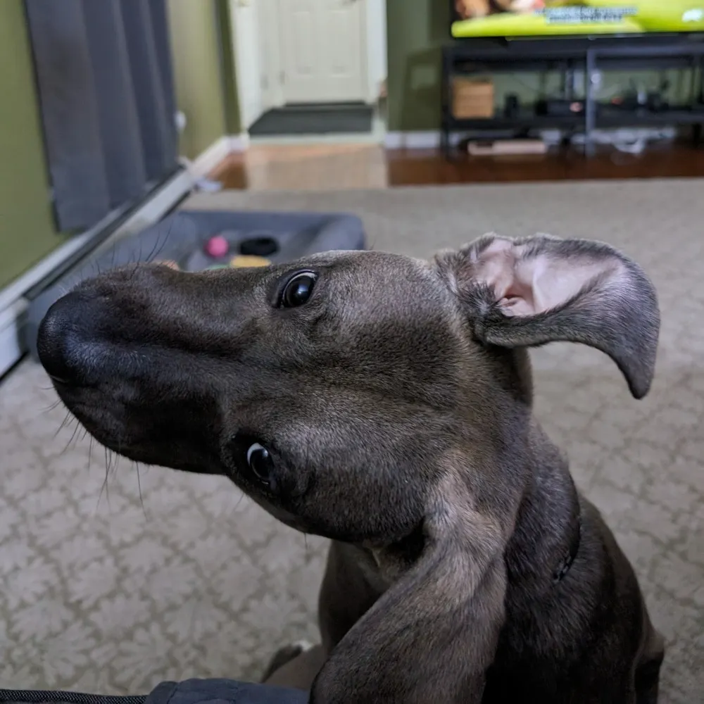 grath.org's profile picture