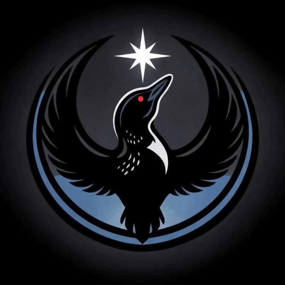 amikode.bsky.social's profile picture