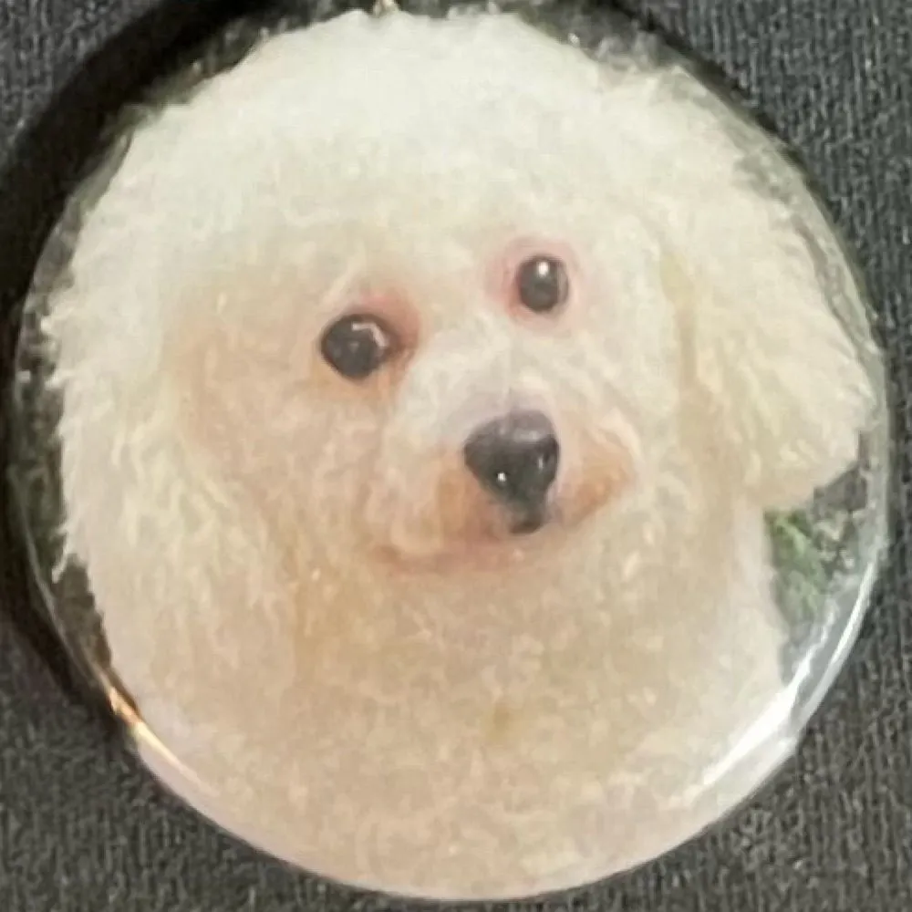 yorunokafuka.bsky.social's profile picture