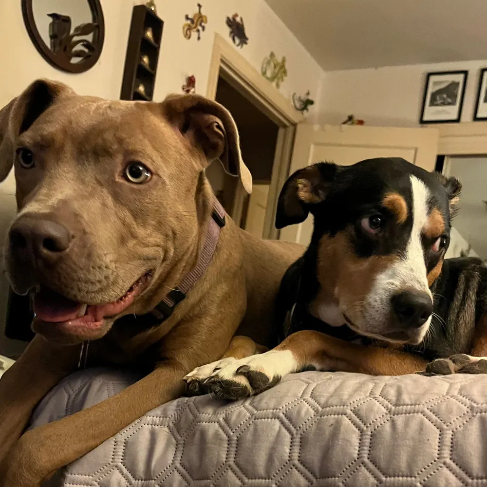 cosmo3807.bsky.social's profile picture