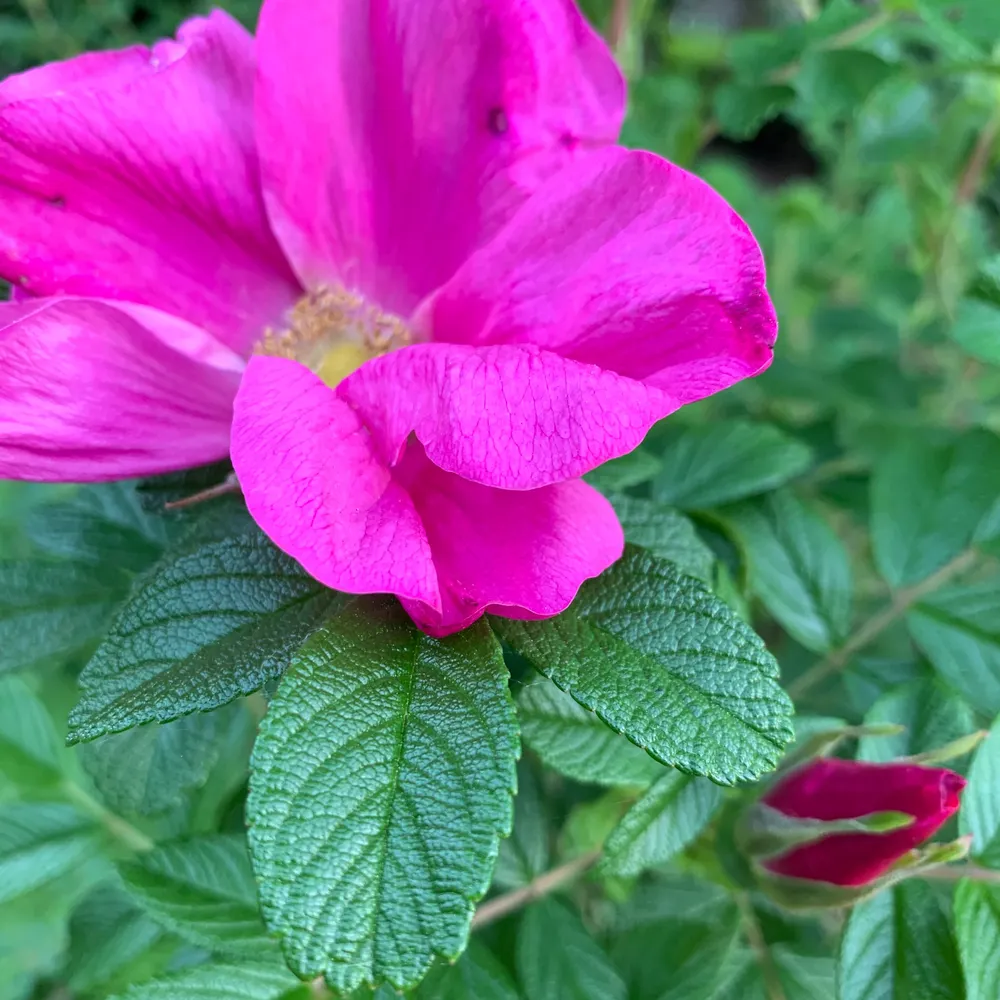 marzeedotes26.bsky.social's profile picture