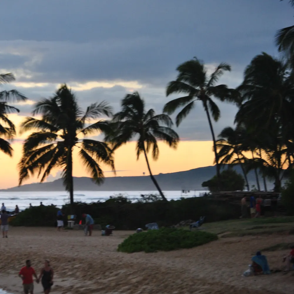 fermented-baker575.bsky.social's profile picture