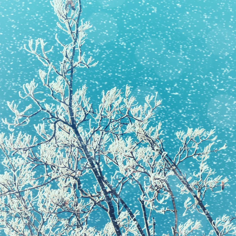 oclan.bsky.social's profile picture