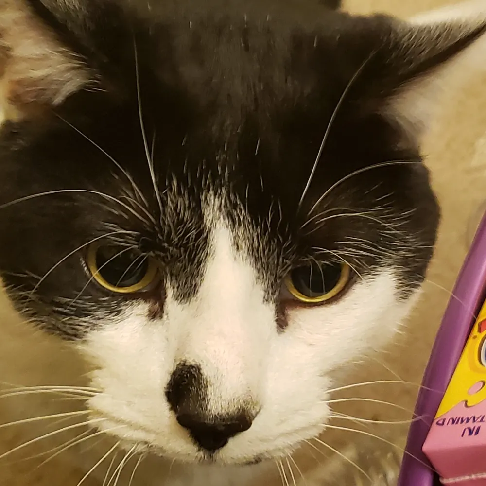 grantthegr81.bsky.social's profile picture