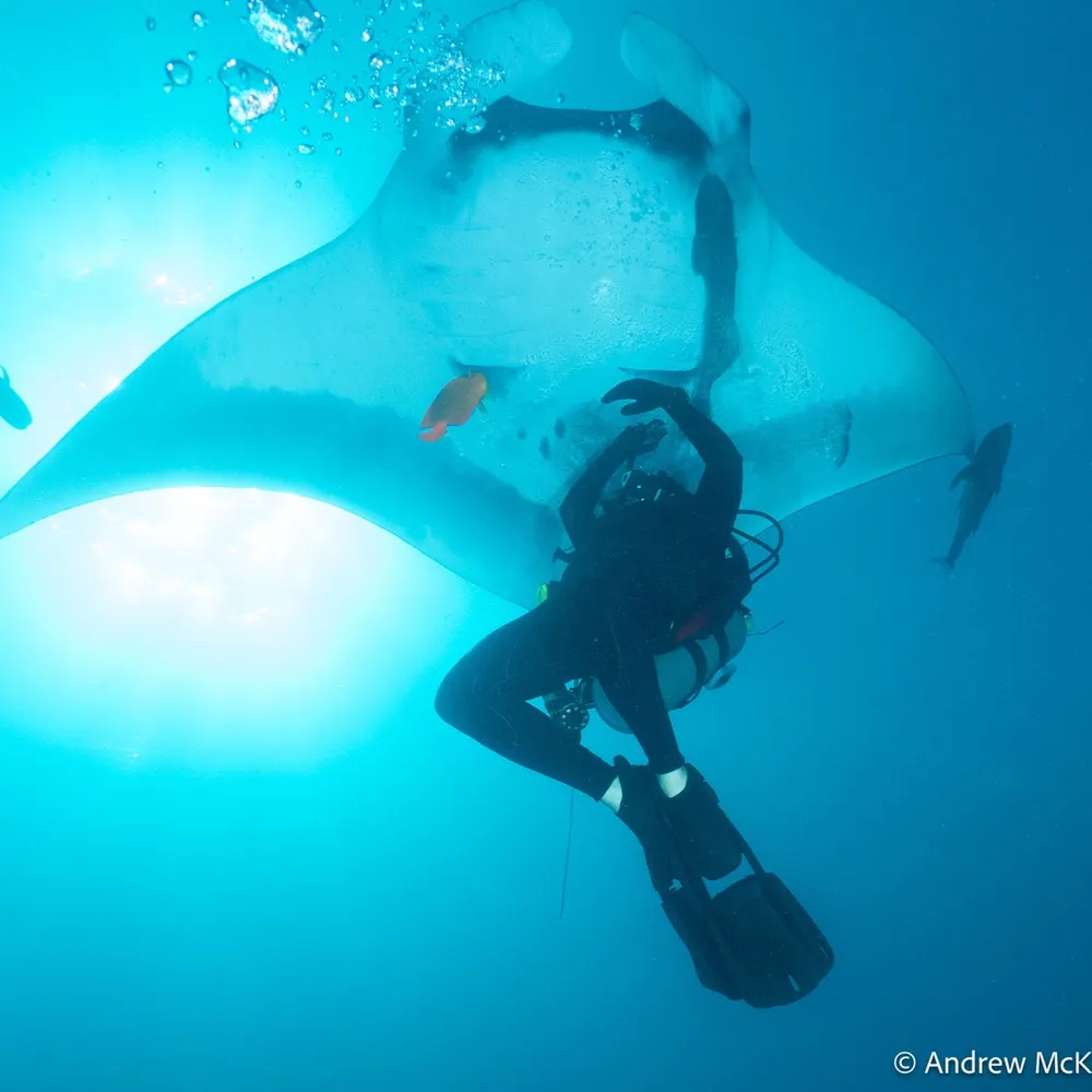 joshuaholland.bsky.social's profile picture