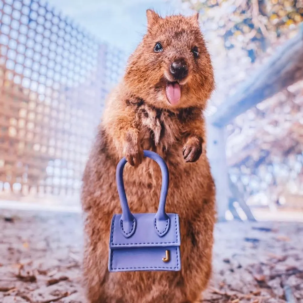 naturecompass.bsky.social's profile picture