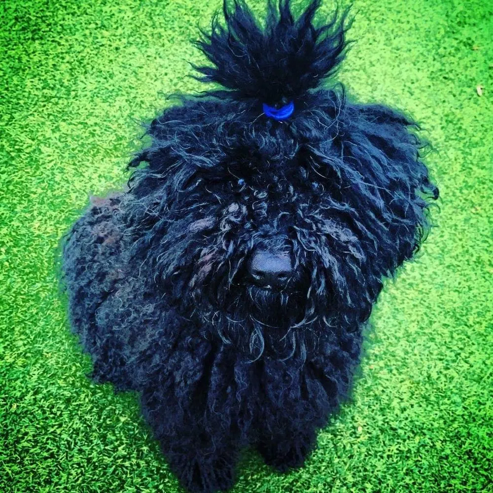 erlichmanr.bsky.social's profile picture