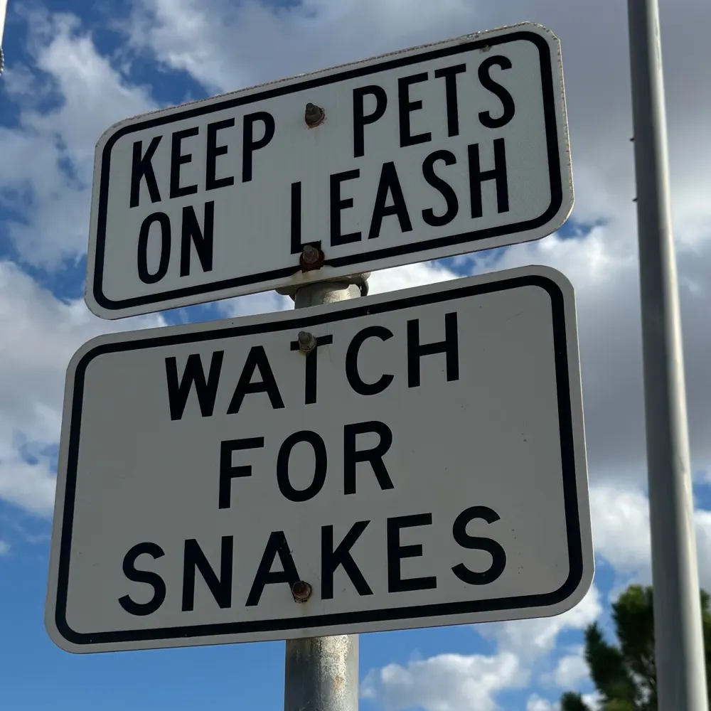 holdenl.bsky.social's profile picture