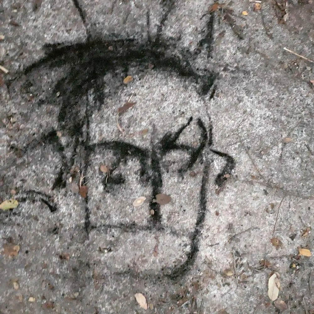 simonearth.bsky.social's profile picture