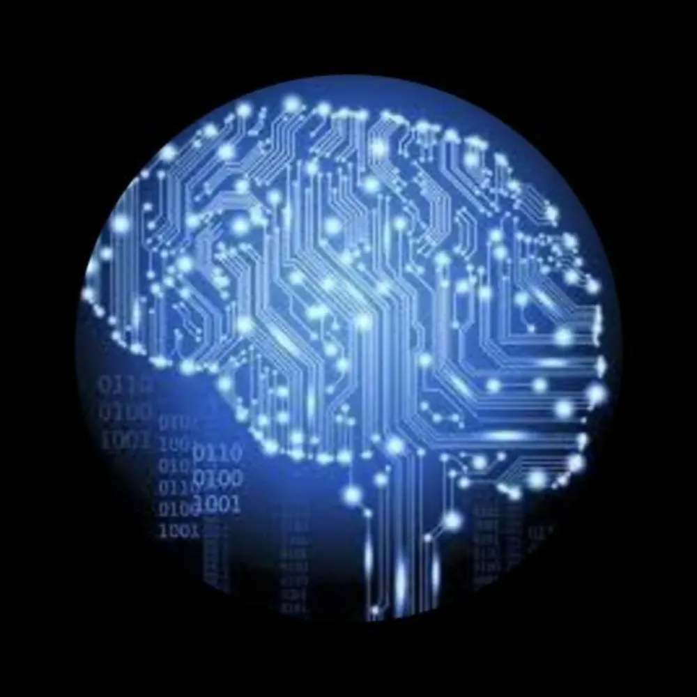 labellaluna.bsky.social's profile picture