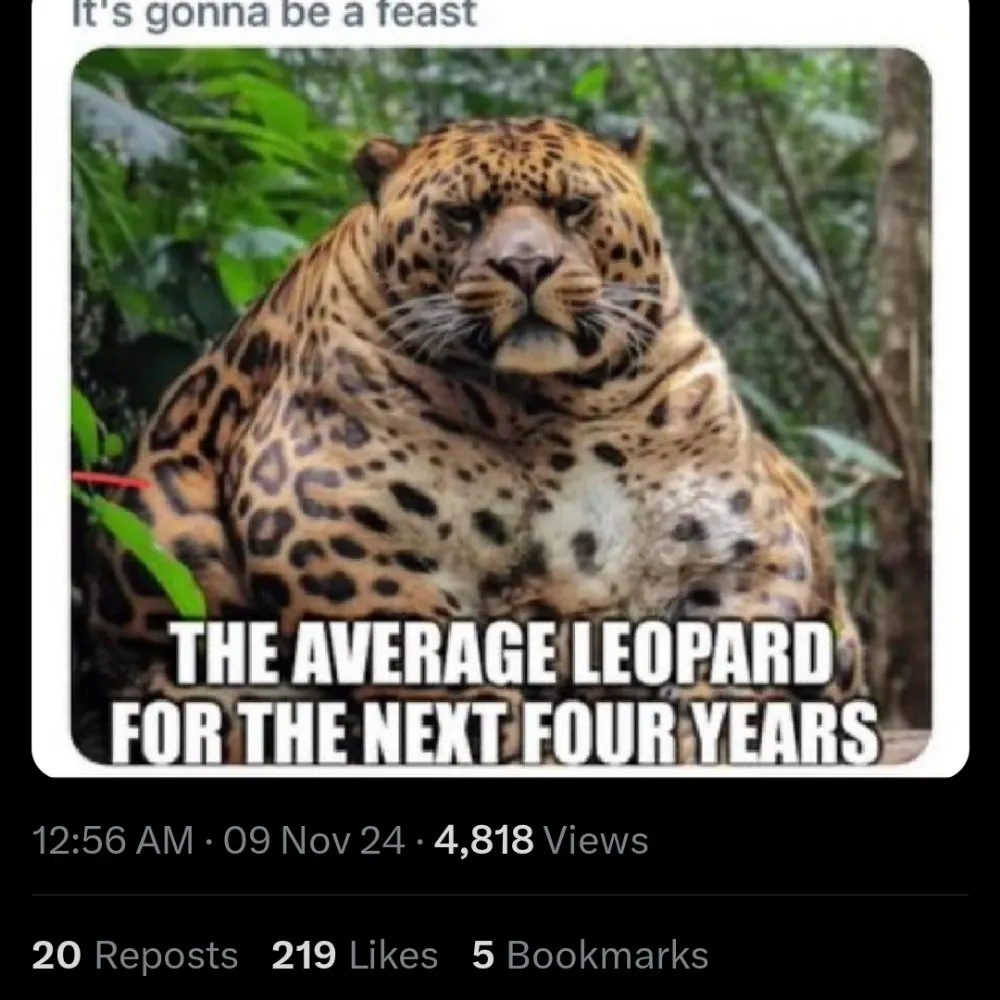 ellefire1974.bsky.social's profile picture