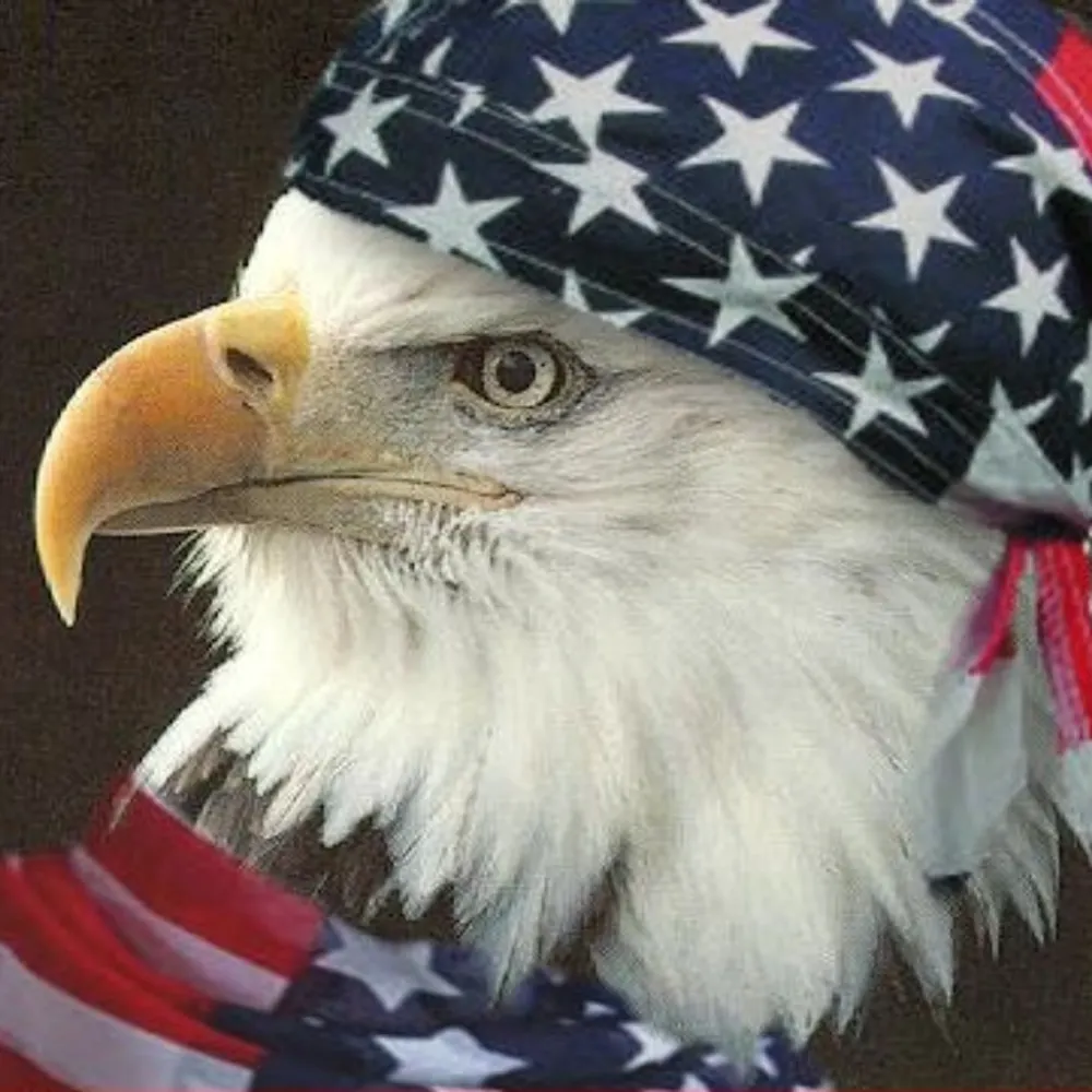 gario.bsky.social's profile picture