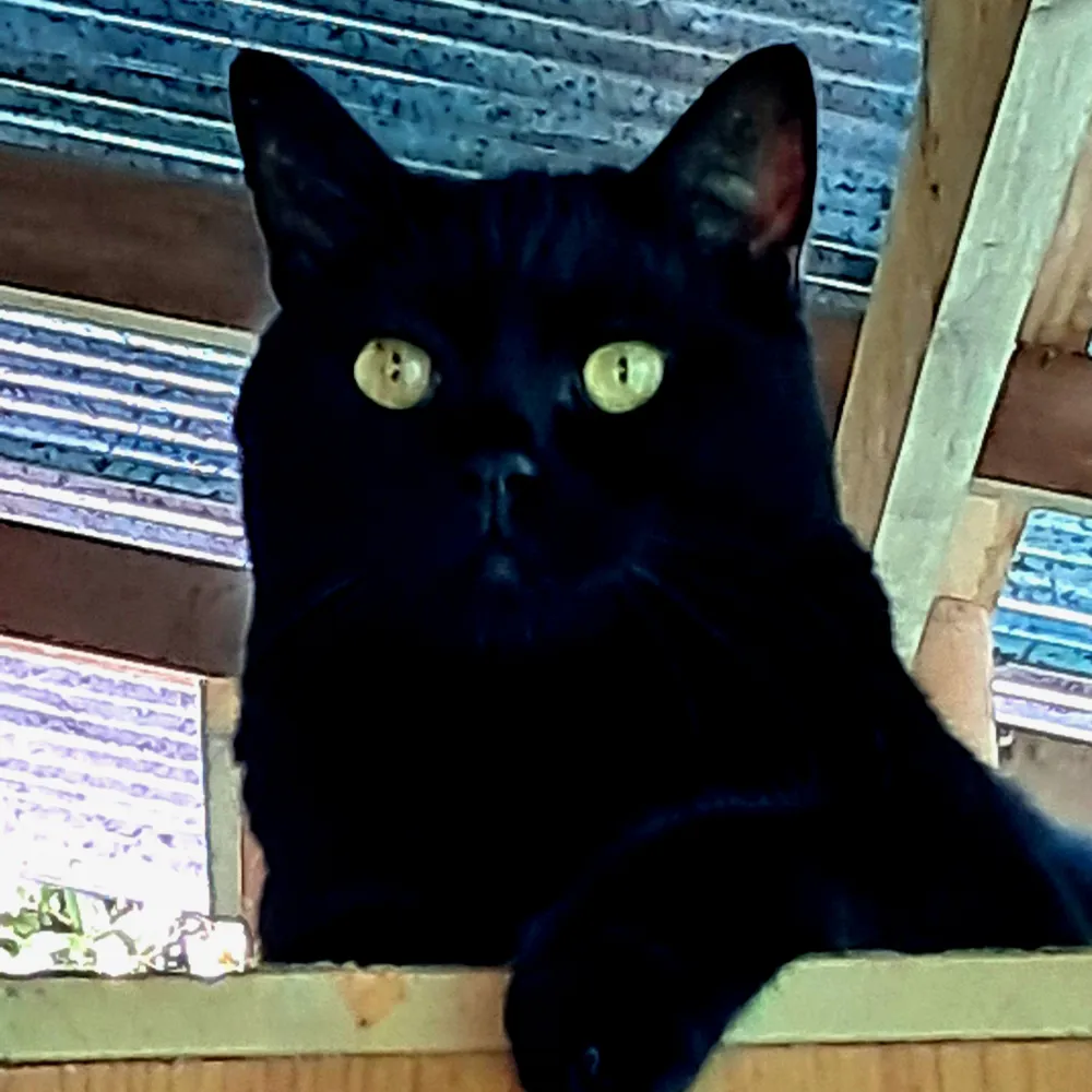 jotimblank.bsky.social's profile picture