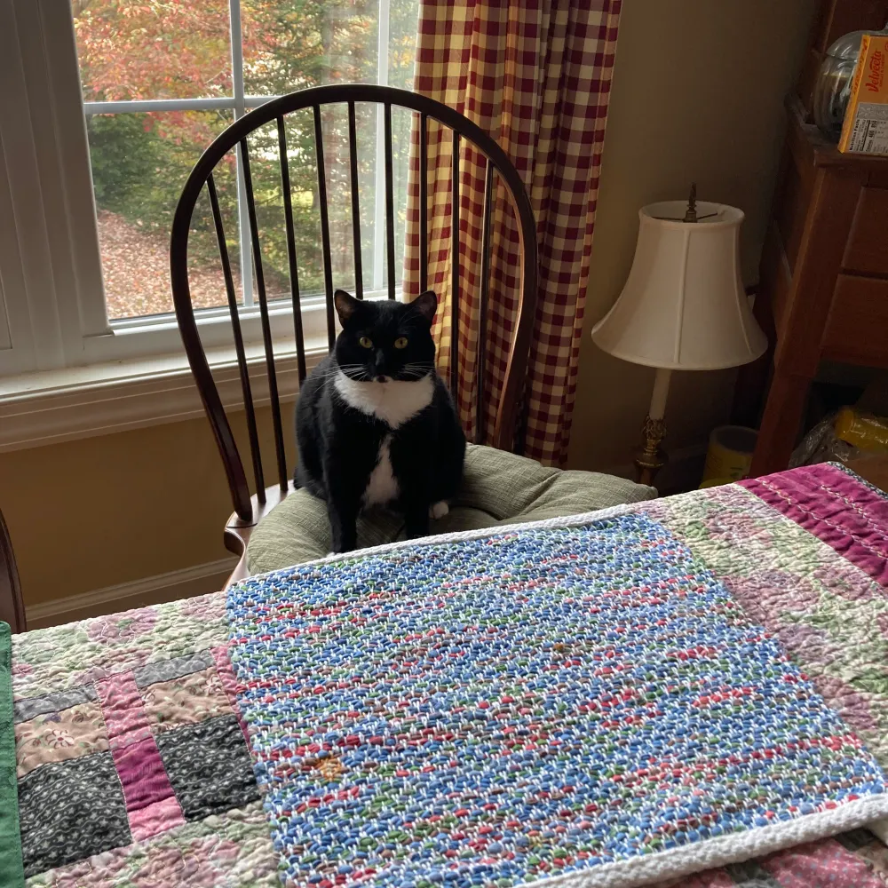 mikedavis.bsky.social's profile picture