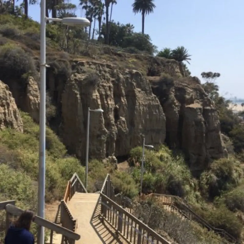 opinionhaver.bsky.social's profile picture