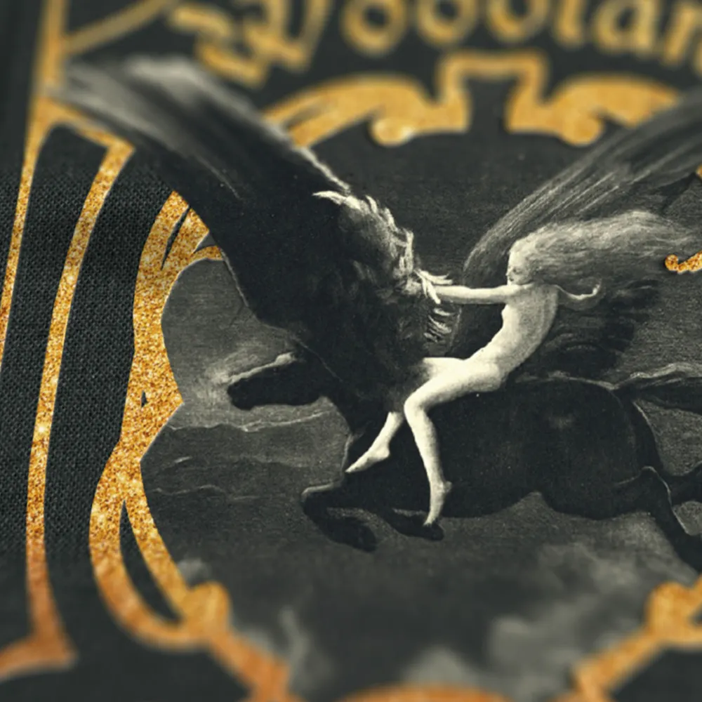 dodomergue.bsky.social's profile picture