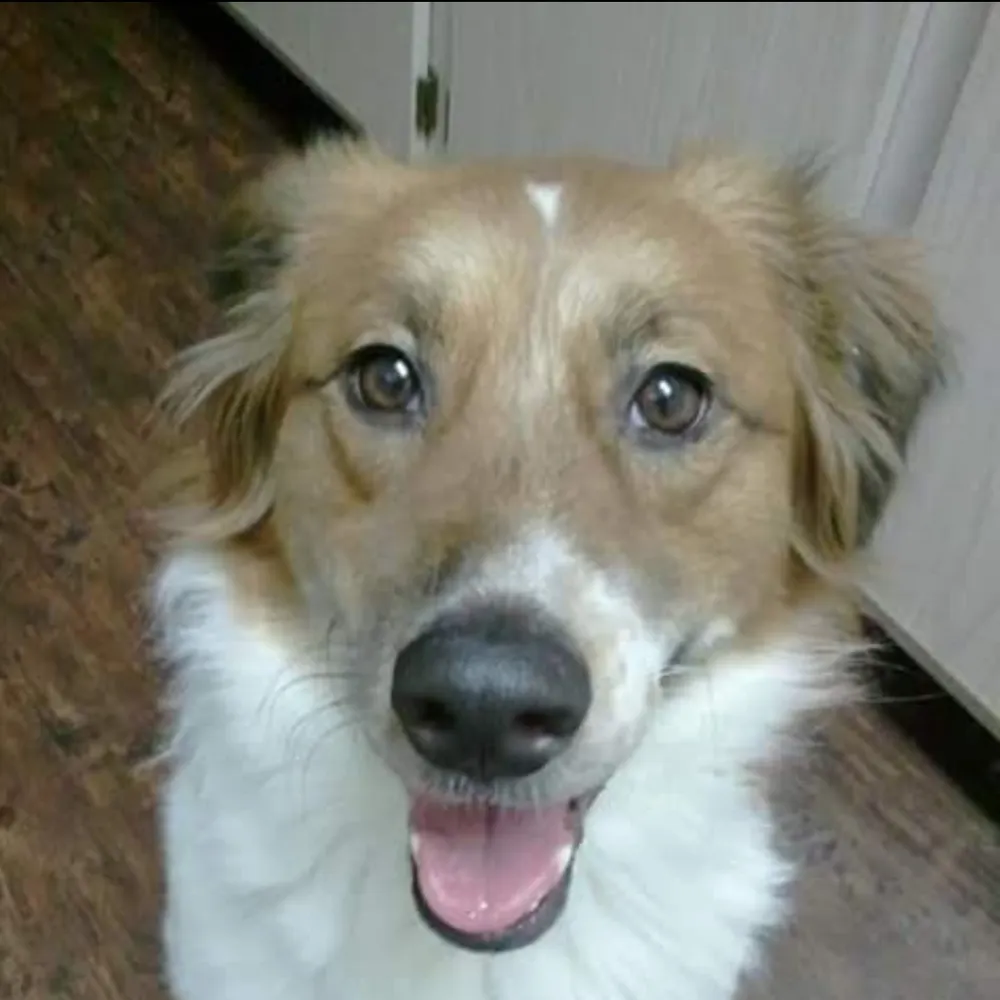 handed2u.bsky.social's profile picture