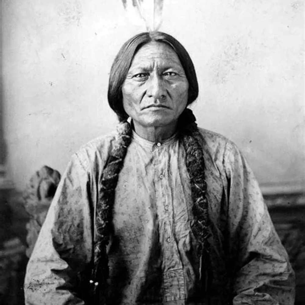 oyasin.bsky.social's profile picture