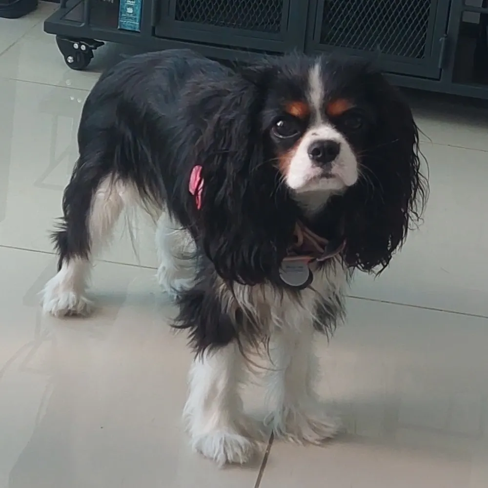 schlotrvlr.bsky.social's profile picture