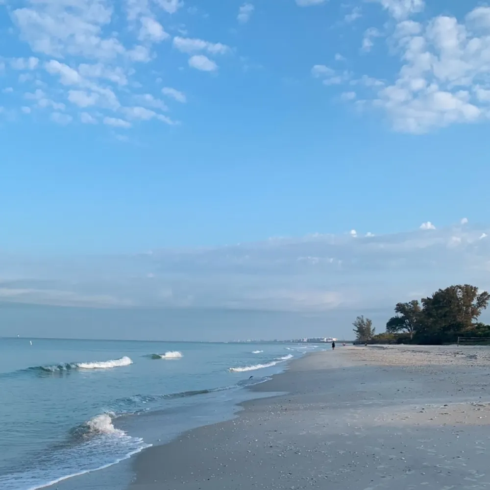 moderntrumpet.bsky.social's profile picture