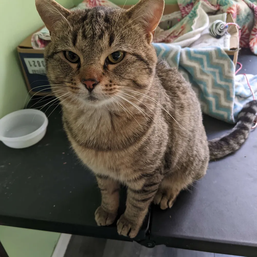 frelyn.bsky.social's profile picture