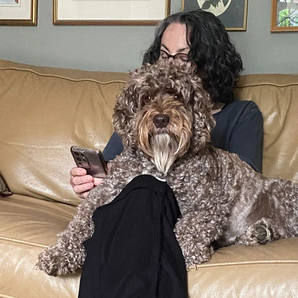 ahsurewell.bsky.social's profile picture