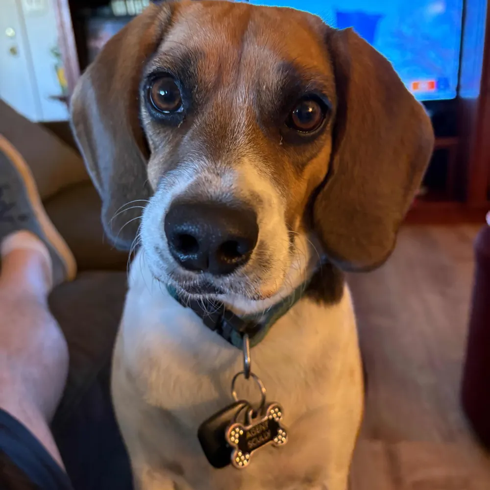 donojhawk.bsky.social's profile picture