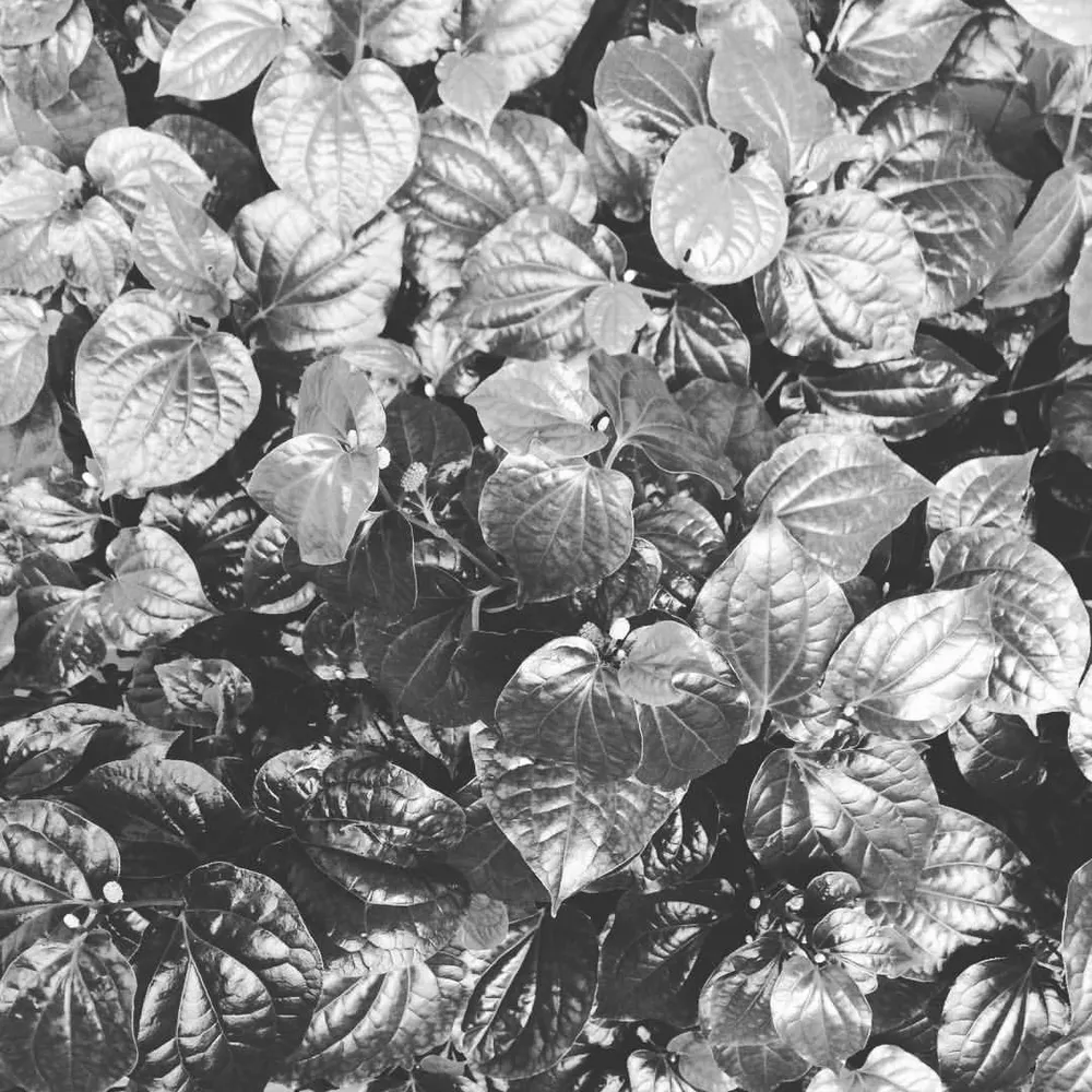 lk01sg.bsky.social's profile picture