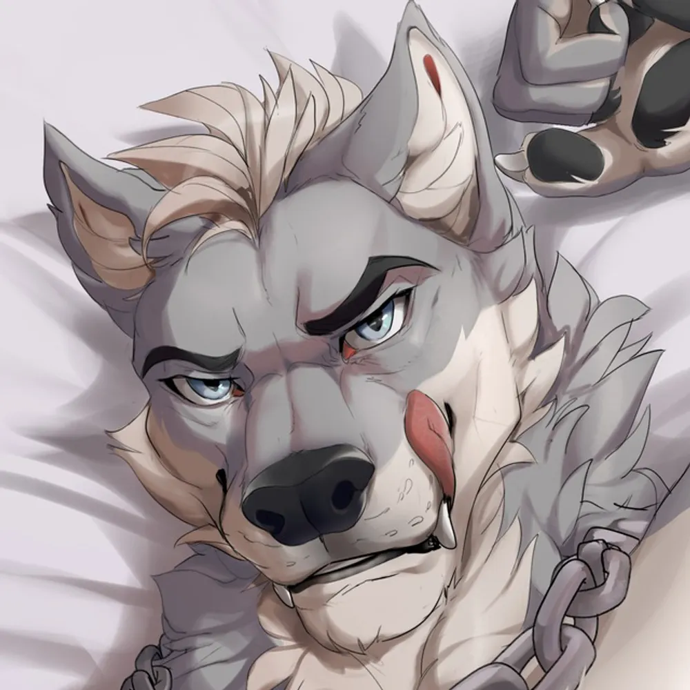 vincewuff.bsky.social's profile picture
