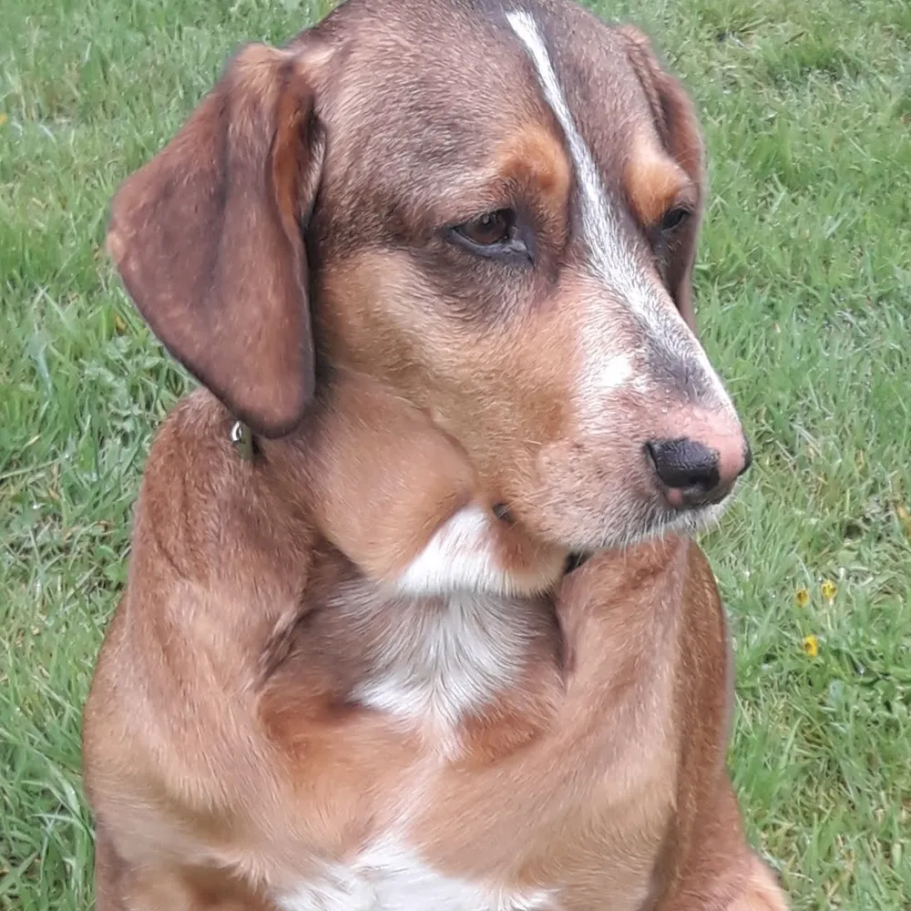 reuville.bsky.social's profile picture